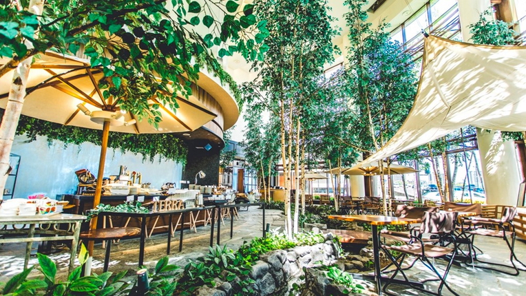 Farm to Table TERRA（内観・朝）