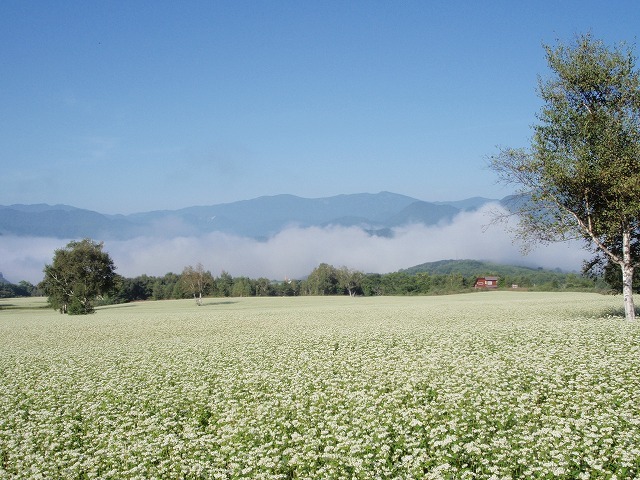 Pension Wines Image 5, Tadami, Japan