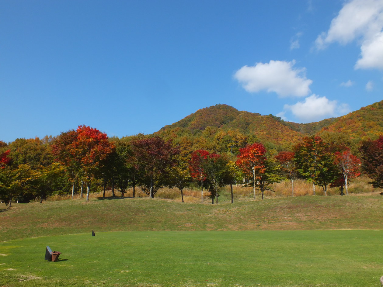 たかつえカントリー紅葉