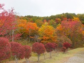 観音沼の紅葉