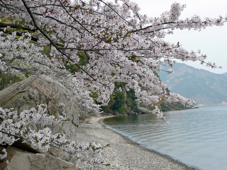 Villa Sansui Amenities