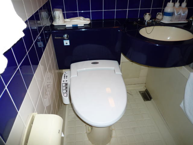 toilet