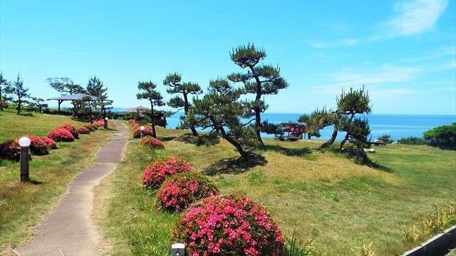 季節ごとに表情を変える庭園