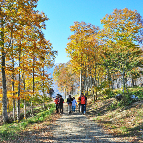 白馬姫川溫泉　白馬岩岳　岳園莊