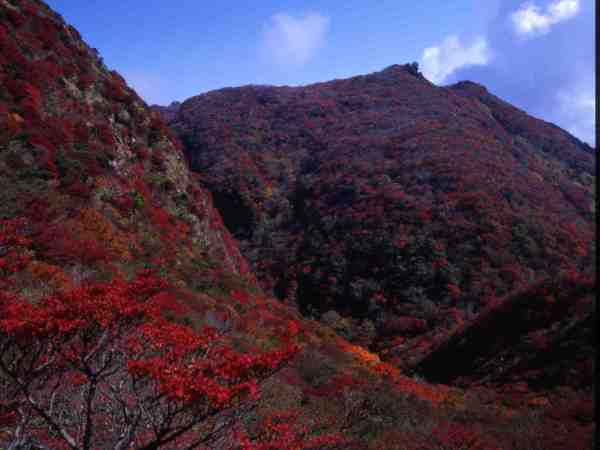 雲仙山系の紅葉