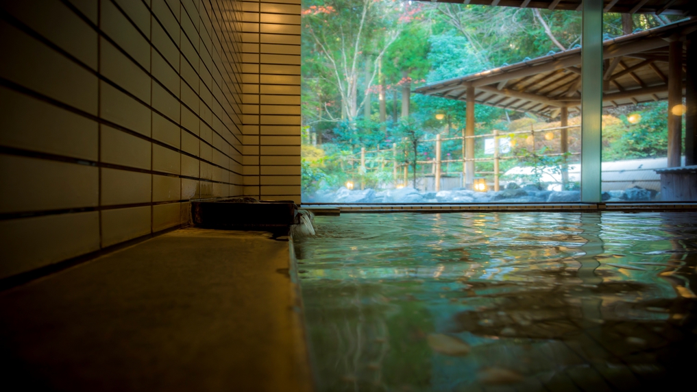 【天橋立温泉】天橋立温泉のイメージ