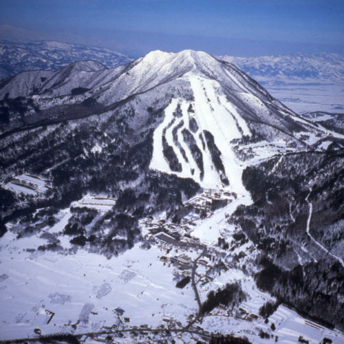*【スキー場全景】初心者から上級者まで楽しめるよう多彩なゲレンデコースが魅力