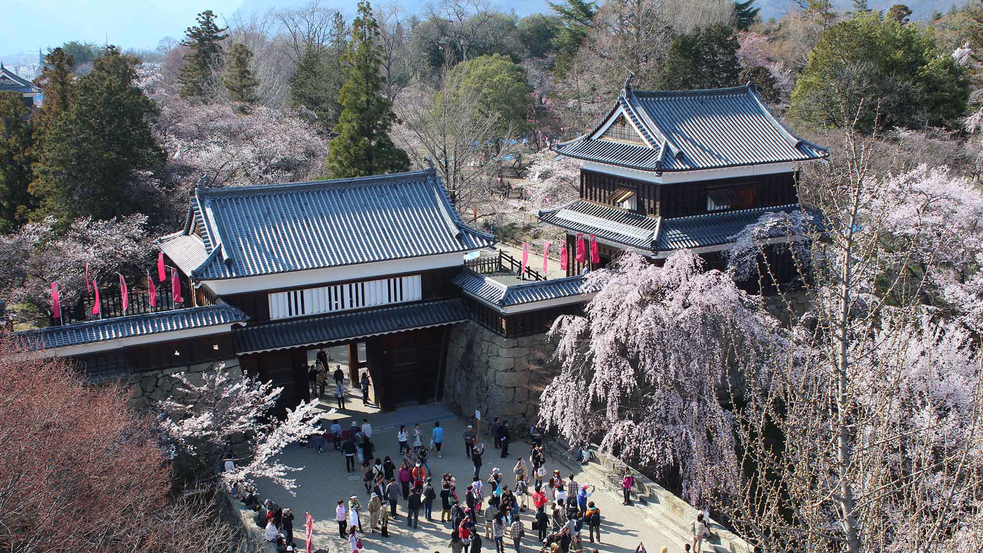 ・【上田城】春には約1，000本の桜が咲き誇る桜の名所。多くの観光客で賑わいます