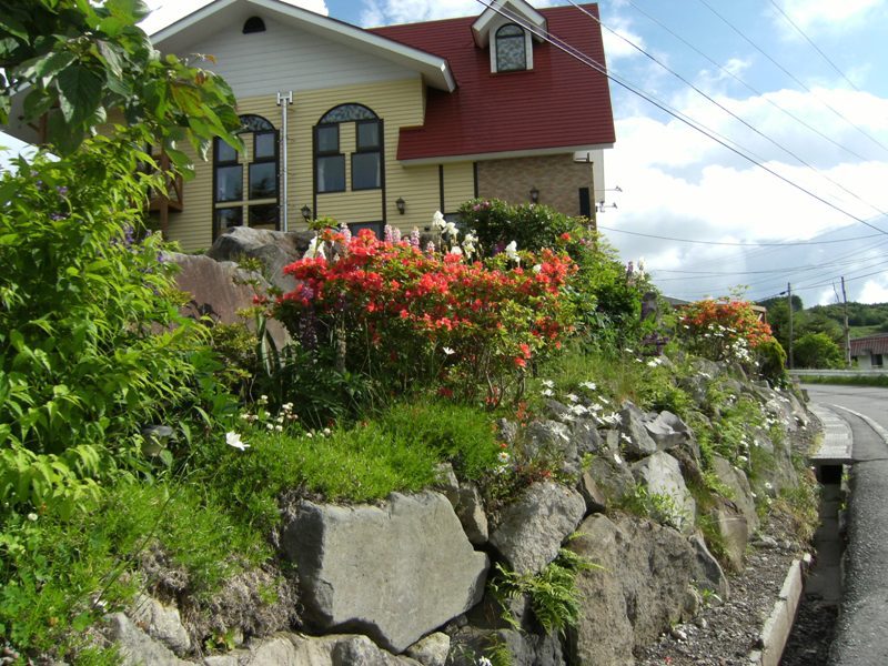 ロックガーデンより