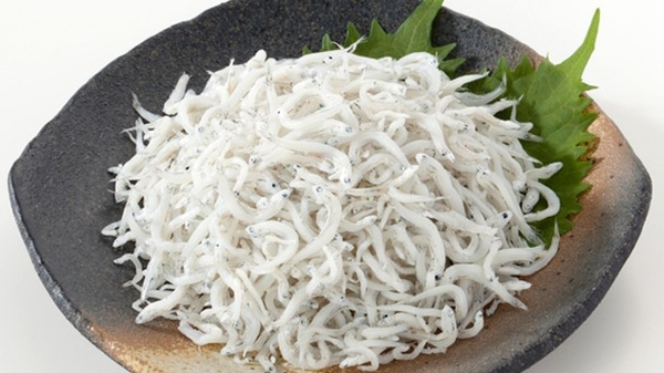 【朝食日替わりメニュー】釜揚げしらすイメージ