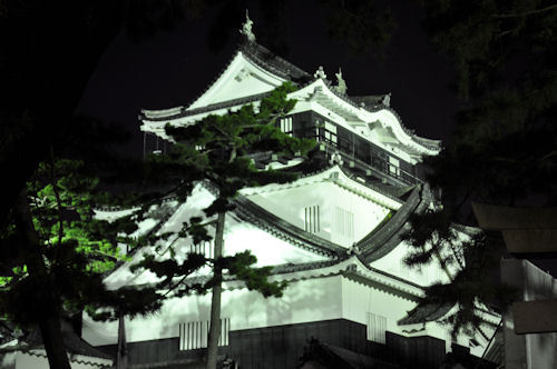 岡崎城 夜（岡崎公園）