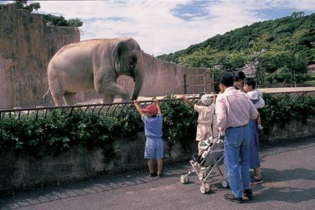 九十九島道植物園”;森きらら”;２