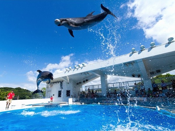 水族館「海きらら」