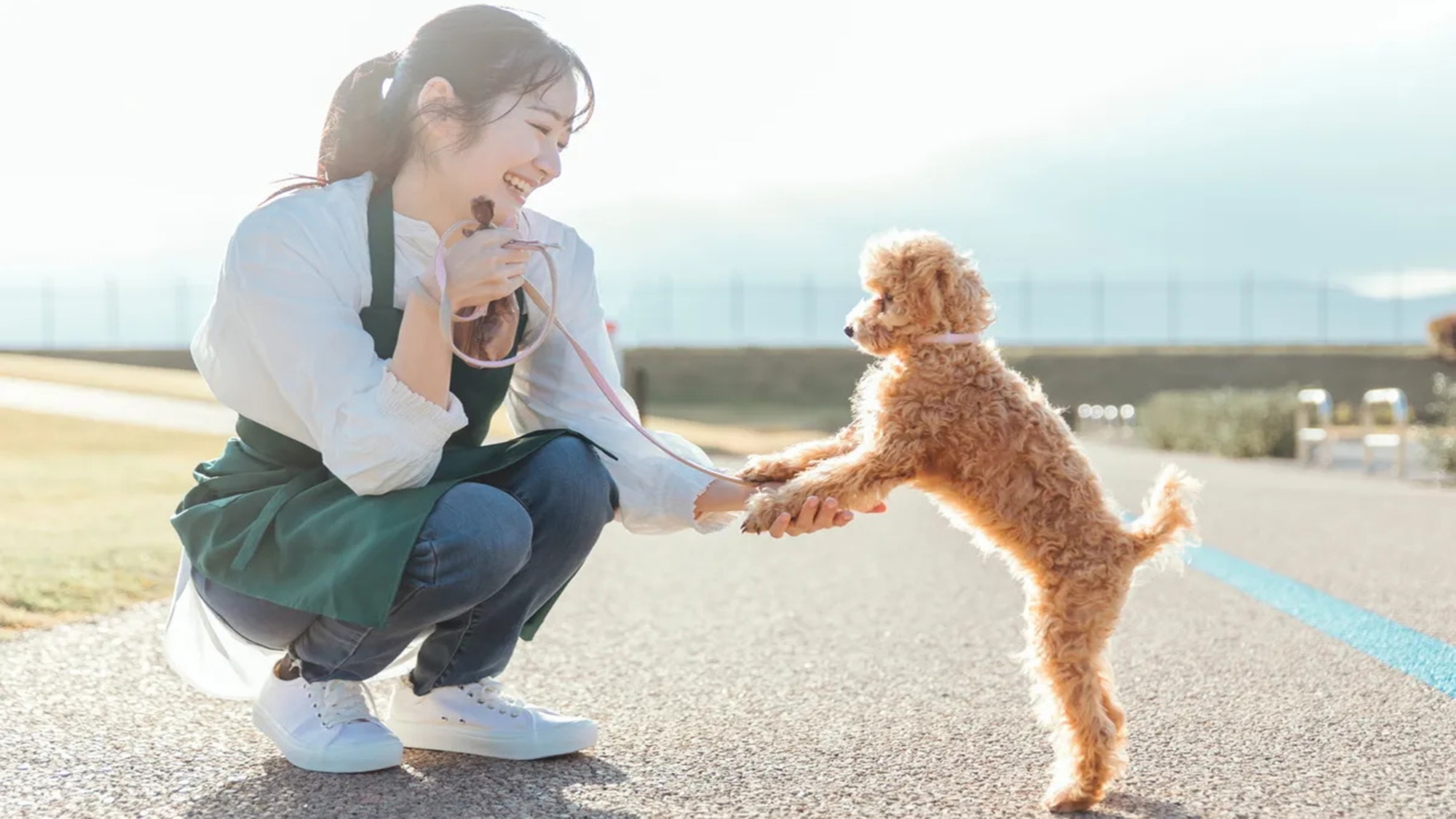 ワンちゃんと一緒に東横INNに泊まろう！