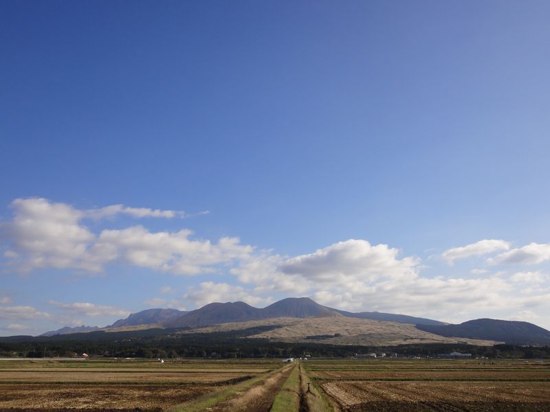 ウィンディ　アンブレラ