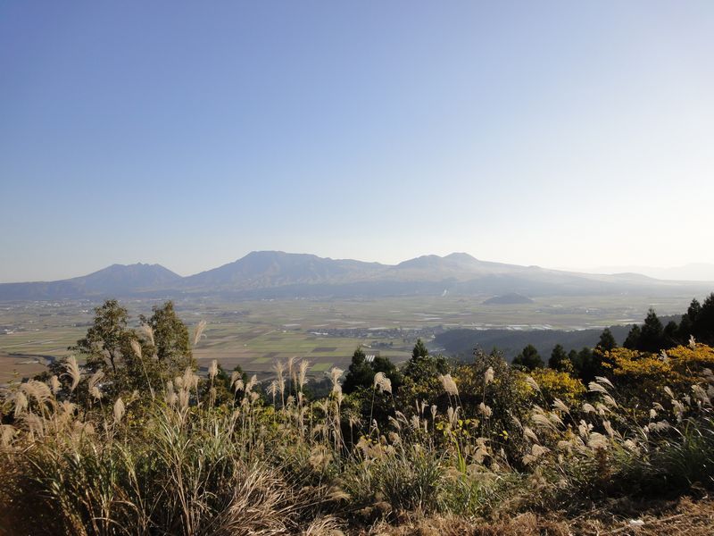 ウィンディ　アンブレラ