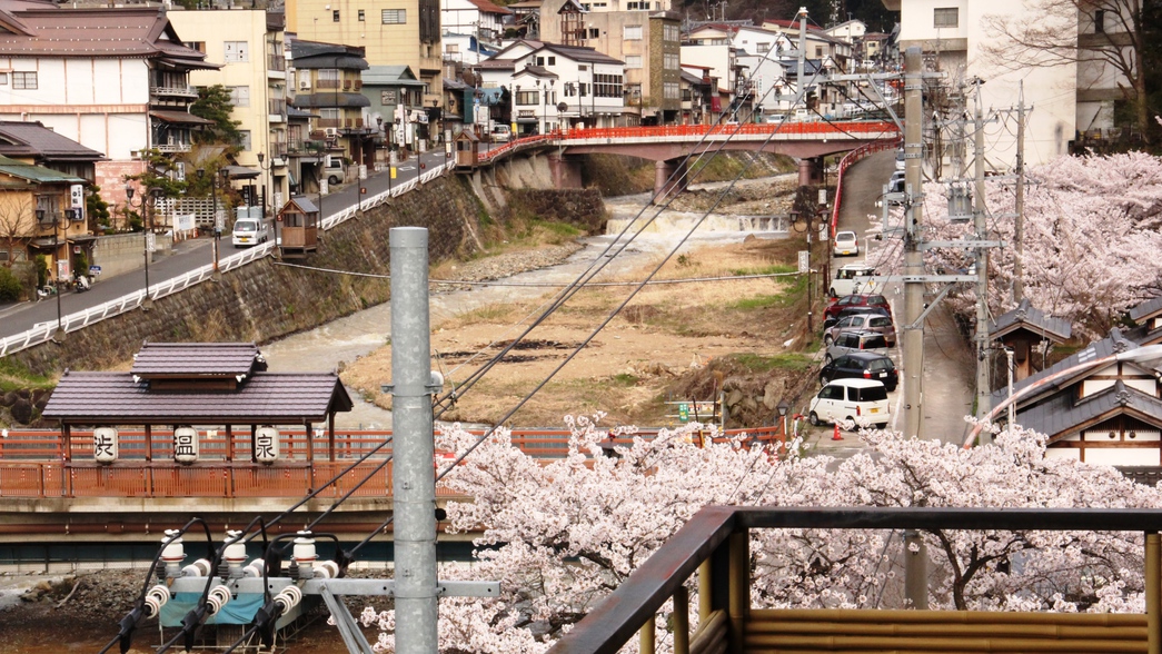 春には桜もご覧いただけます。