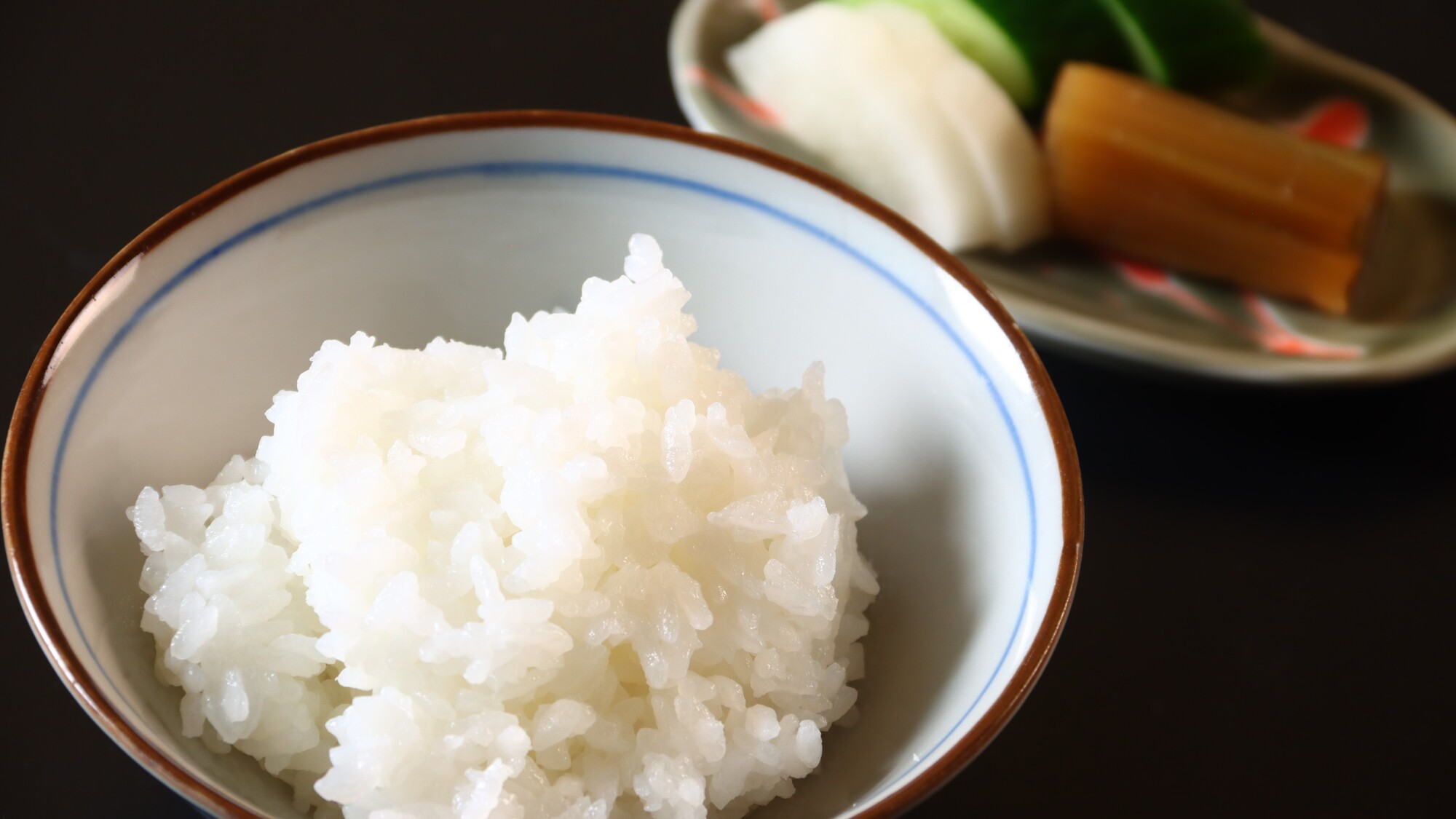 《夕食》白米とお漬物