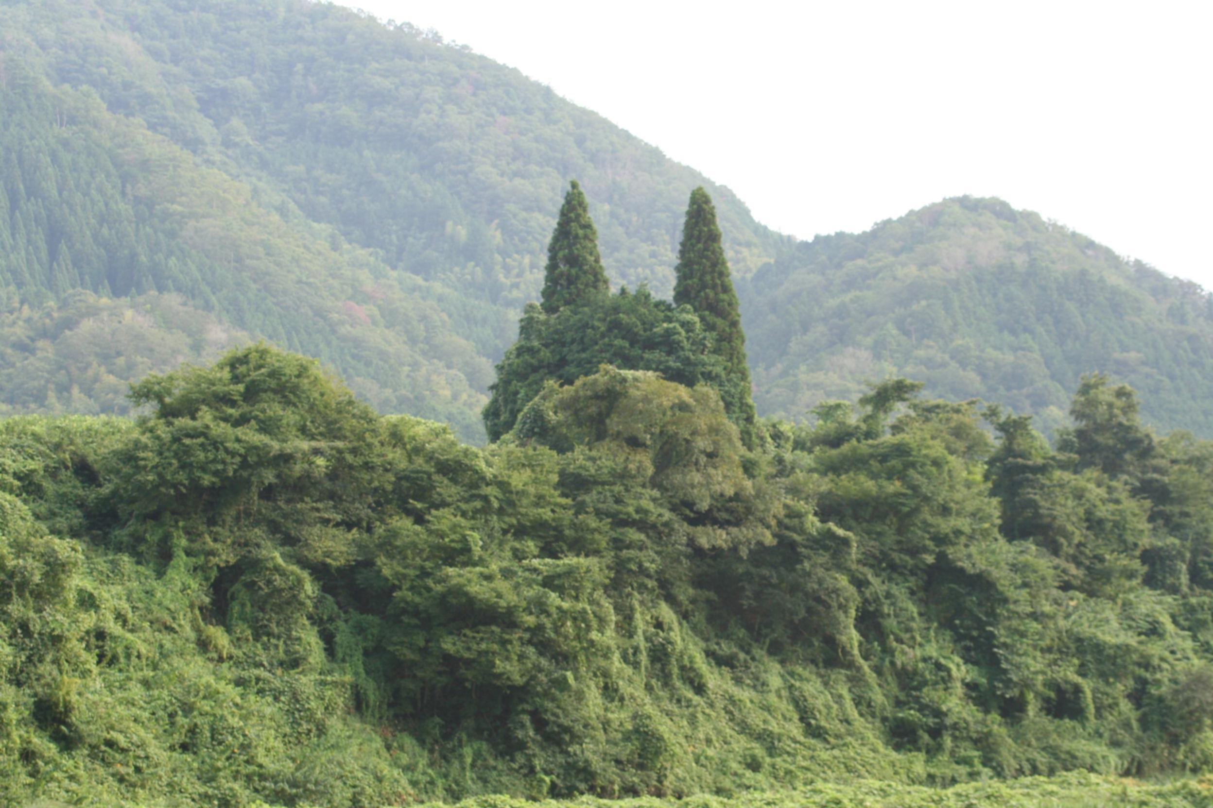 鬼に見える山