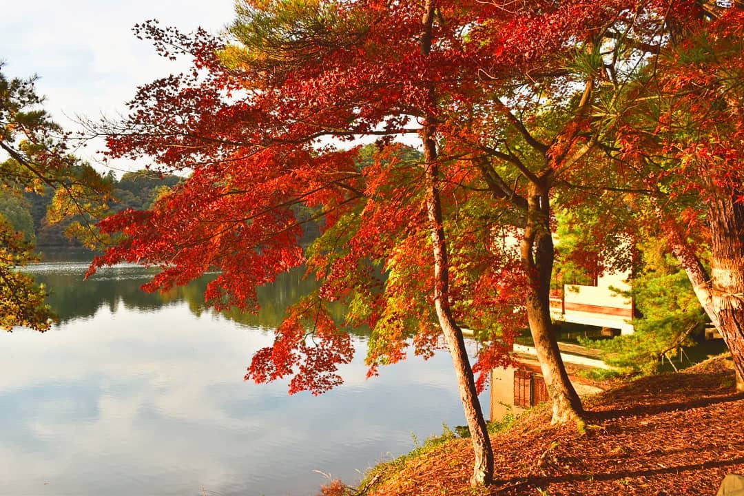 三段池公園