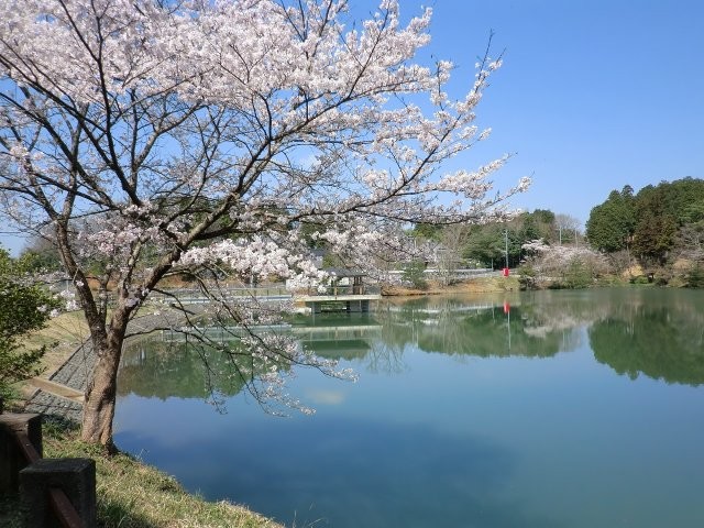 三段池公園