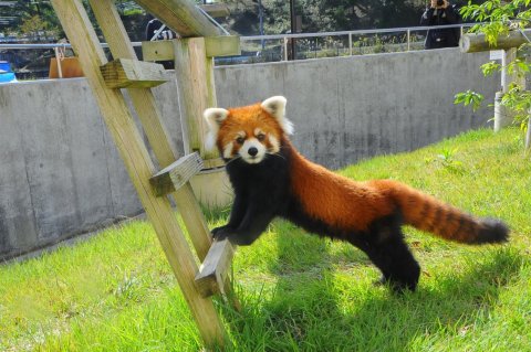 三段池動物園