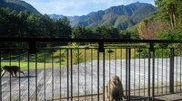 【早割60】源泉掛け流し温泉でリフレッシュ「ご当地グルメをブッフェスタイルで堪能」＜1泊2食＞さき楽