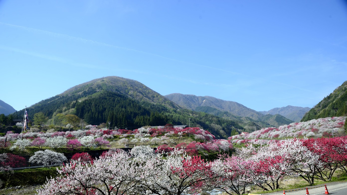 月川温泉 野熊の庄 月川 宿泊予約 Goo旅行