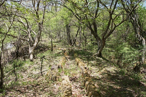 宇山堰石（うやませぎいし）