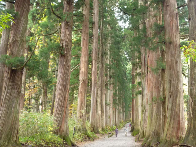 長野市_戸隠