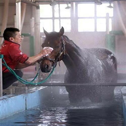 JRA 馬の温泉