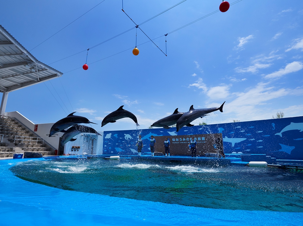 【仙台うみの杜水族館】当館から車で約７分♪