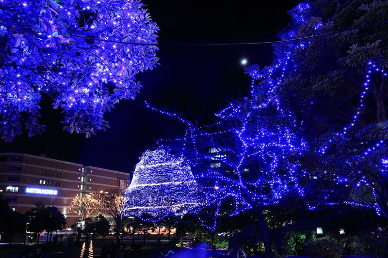 冬のイルミネーション勾当台公園仙台光のページェント♪