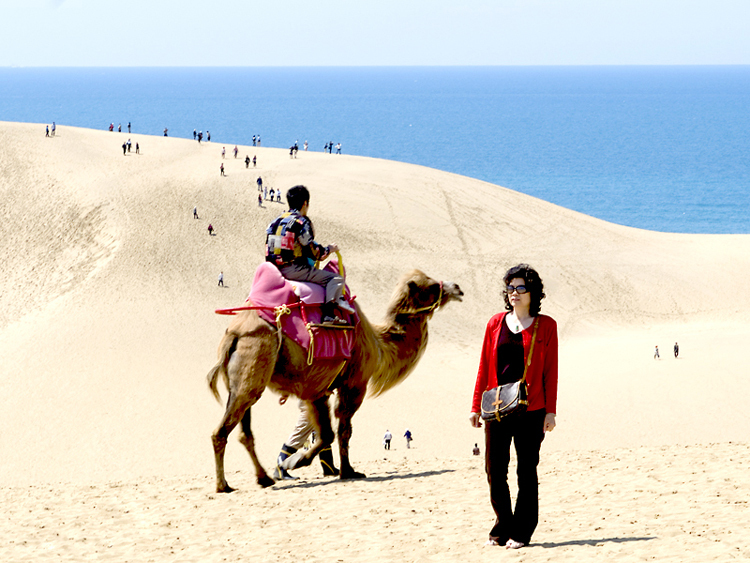 32鳥取砂丘(お車90分)