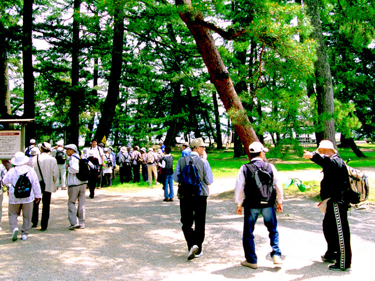 71天橋立(お車90分)