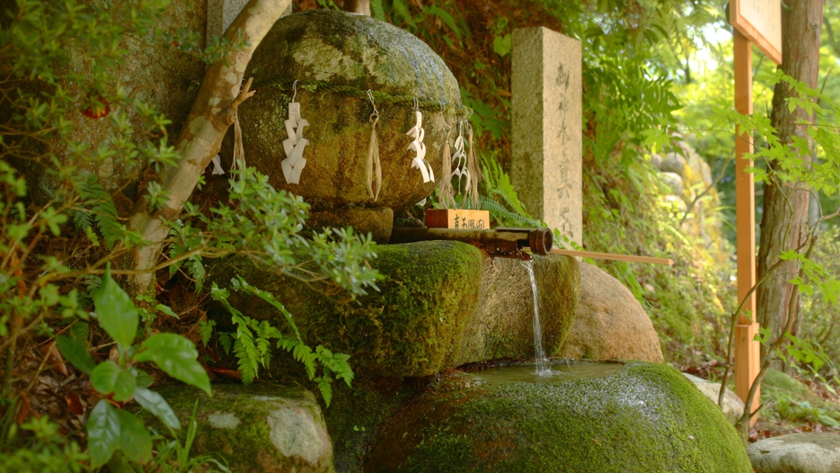 玉作湯神社提供元：公益社団法人 島根県観光連盟