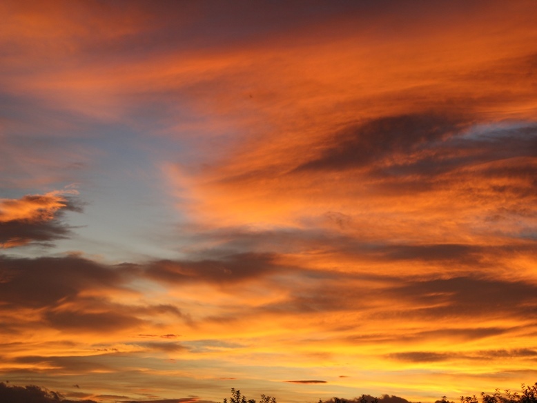 お部屋からの風景