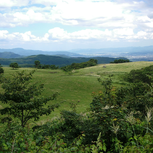 吾妻高原牧場（冬季閉鎖）