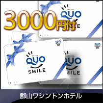 ￥３，０００クオカード付出張・ビジネス応援宿泊プラン室数限定♪
