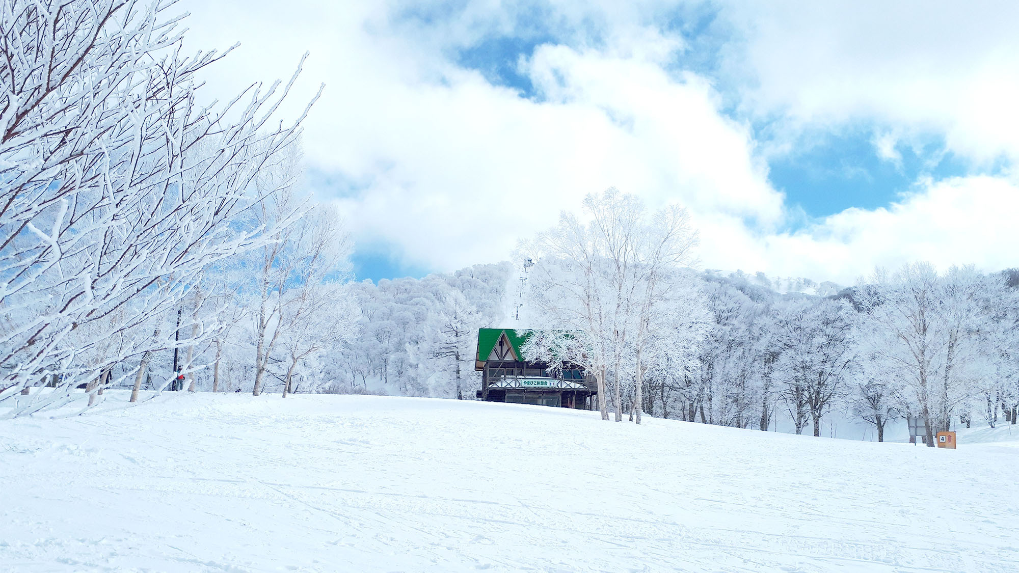 ・野沢温泉スキー場でスキー&スノボをお楽しみください