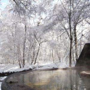 雪の森の湯