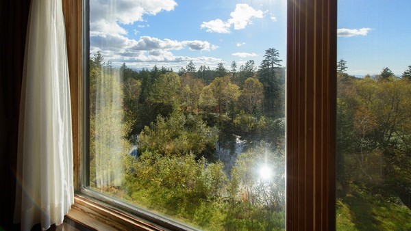 客室( 森側) 窓からは大雪山国立公園の原生林がご覧いただけます。