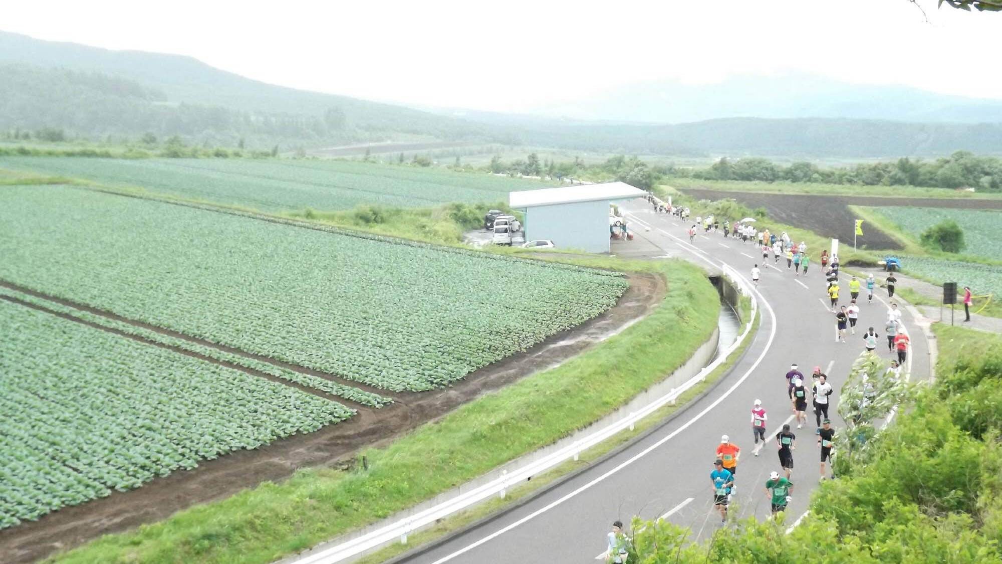 【キャベツマラソン】ランナー必見！応援プランをご用意しております！