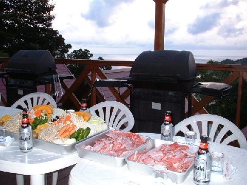 夕食はバーベキュー（冬季以外）