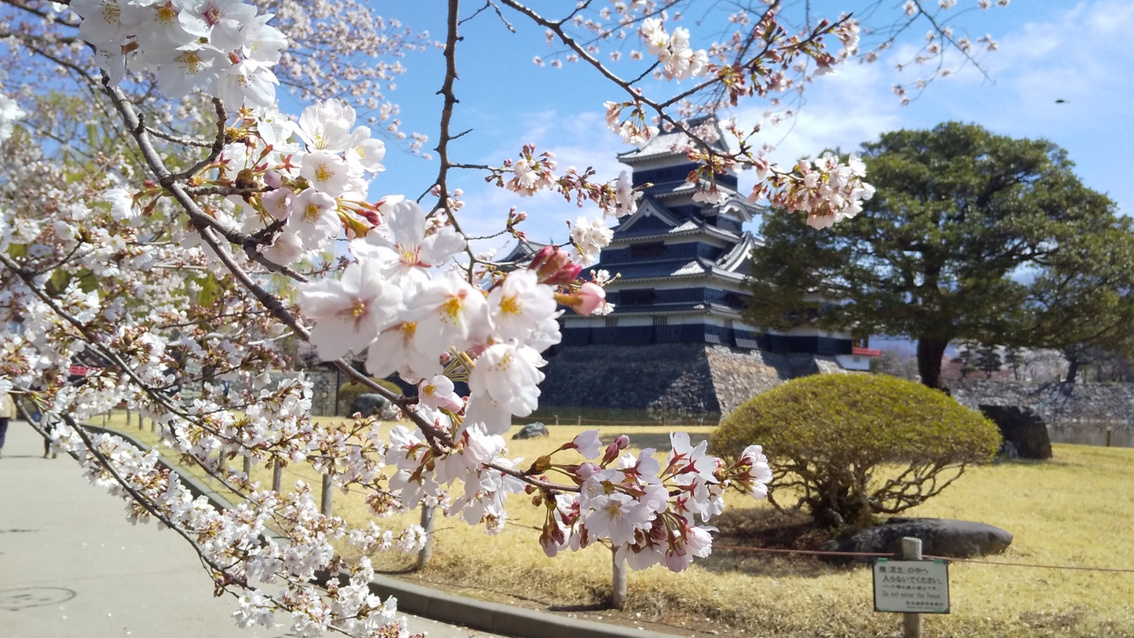 松本城公園