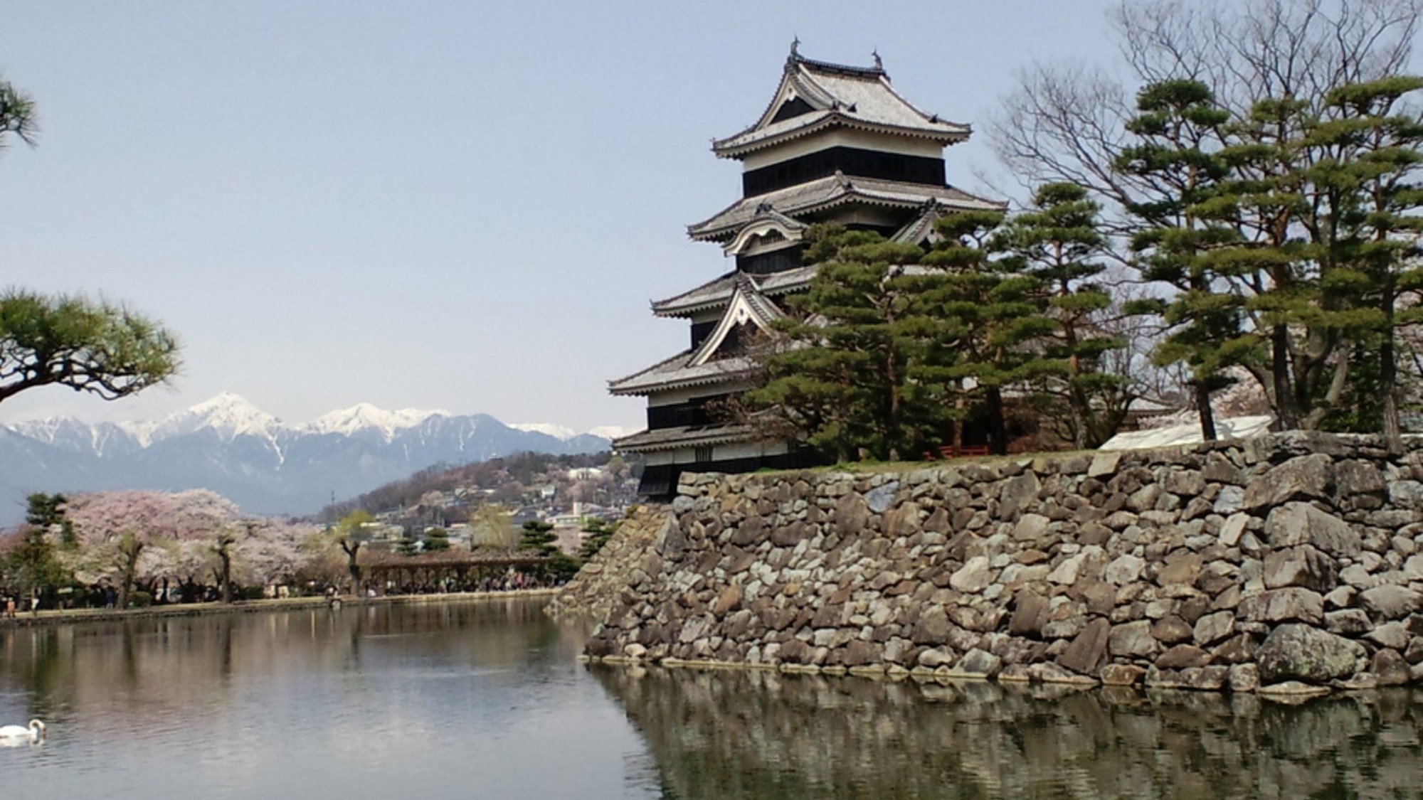 春の松本城