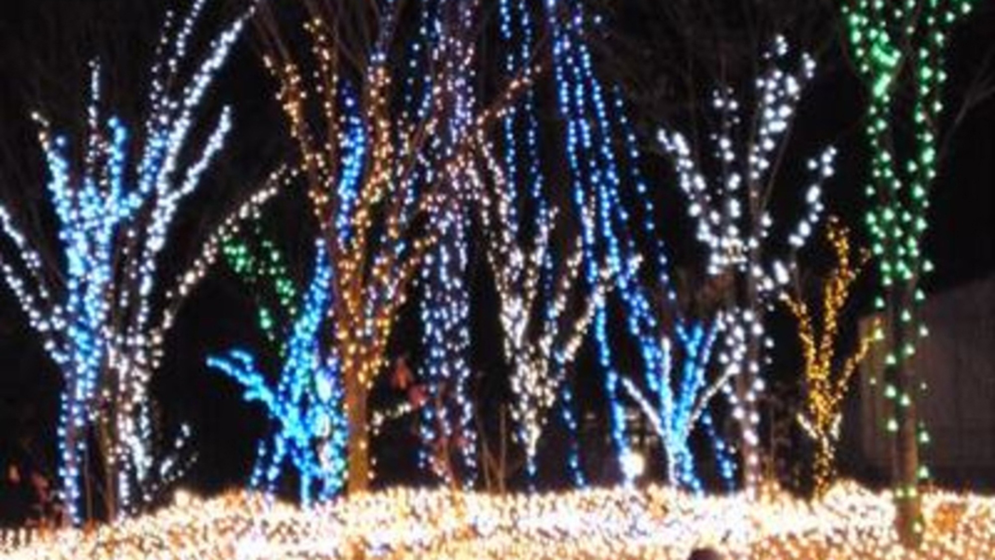 アルプス安曇野公園