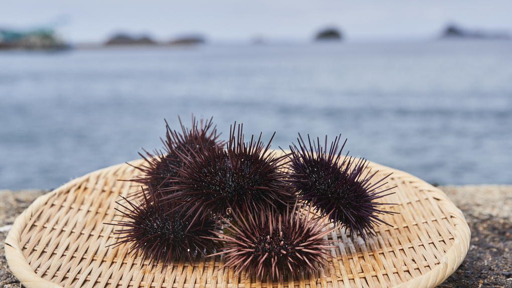 Iki Retreat Kairumurakami Image 4, Iki, Japan