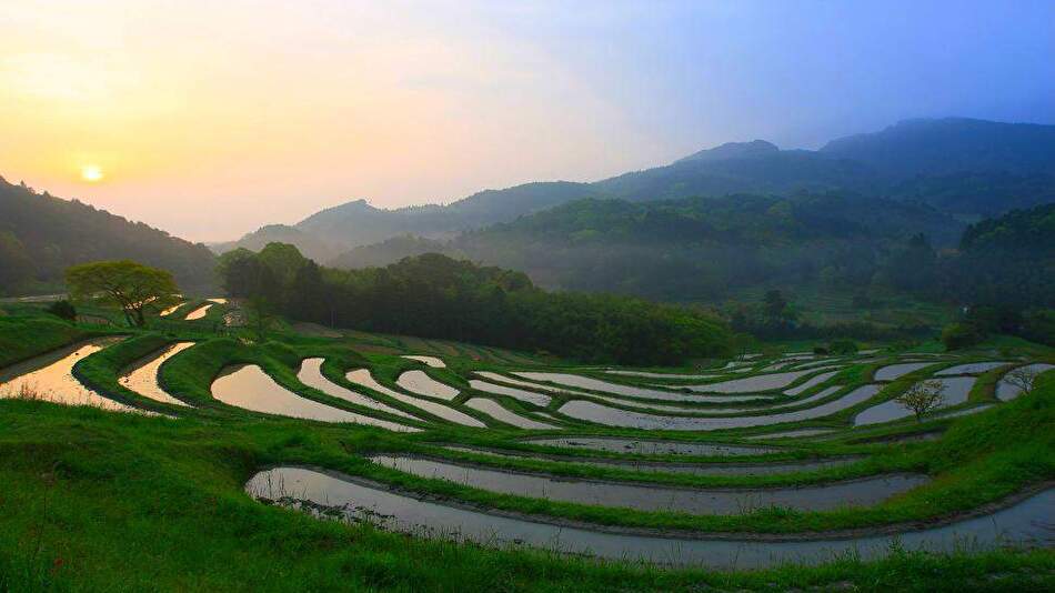 大山千枚田