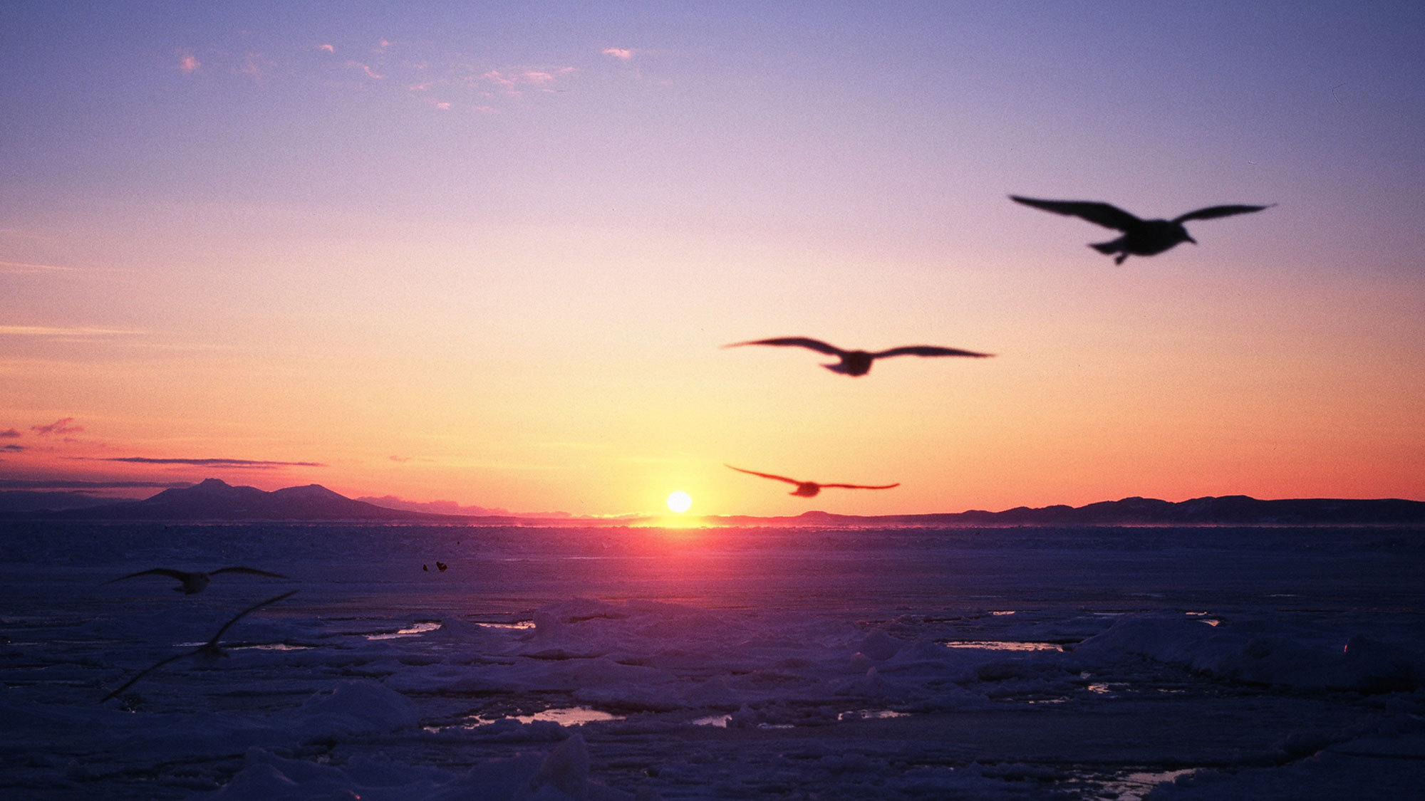 夕陽が沈むオホーツク海の流氷